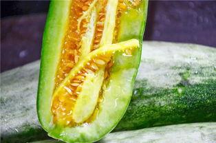 西安吃瓜网红是谁啊,揭秘西安网红“吃瓜达人”之谜 第3张 西安吃瓜网红是谁啊,揭秘西安网红“吃瓜达人”之谜 第3张