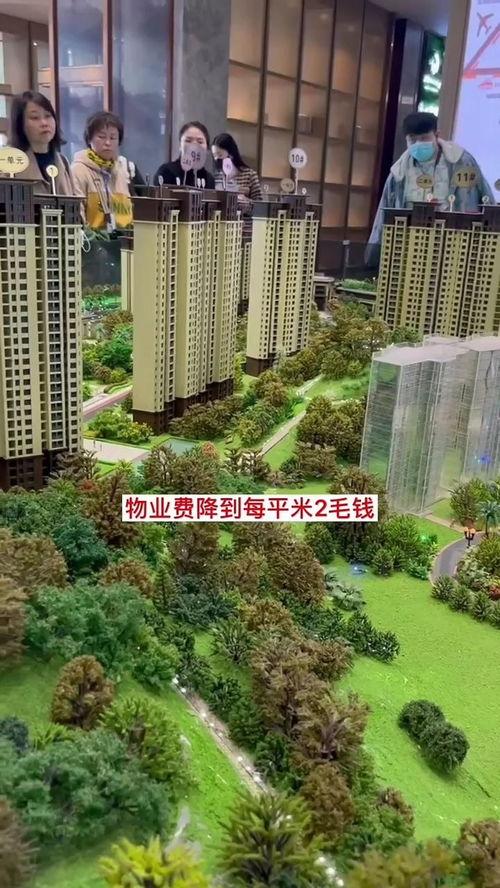 成都房地产天涯爆料视频,天涯爆料视频深度解析 第3张 成都房地产天涯爆料视频,天涯爆料视频深度解析 第3张