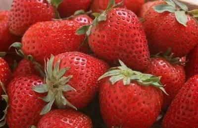 草莓皮肤爆料视频下载,揭秘新皮肤设计亮点与特色 第1张 草莓皮肤爆料视频下载,揭秘新皮肤设计亮点与特色 第1张