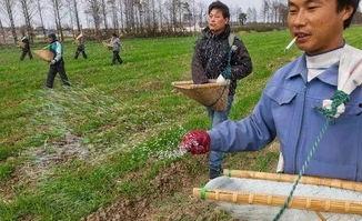 假化肥农药爆料最新消息,最新爆料揭露行业乱象 第1张 假化肥农药爆料最新消息,最新爆料揭露行业乱象 第1张