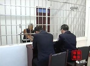 河北安平县爆料案件最新,案情最新进展及社会关注焦点 第3张 河北安平县爆料案件最新,案情最新进展及社会关注焦点 第3张